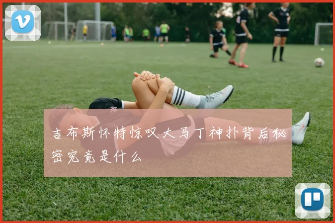 吉布斯怀特惊叹大马丁神扑背后秘密究竟是什么
